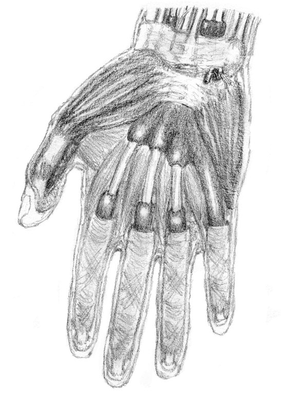 gaine synoviale tendon flechisseur main