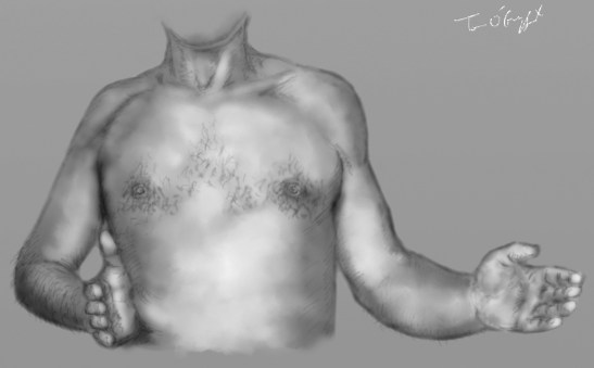 luxation posterieure epaule