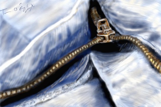 braguette zipper injury