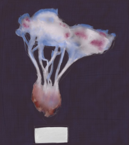 rupture papillaire 1